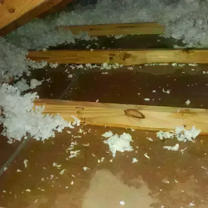 Attic Water Damage in Morrisville, VT